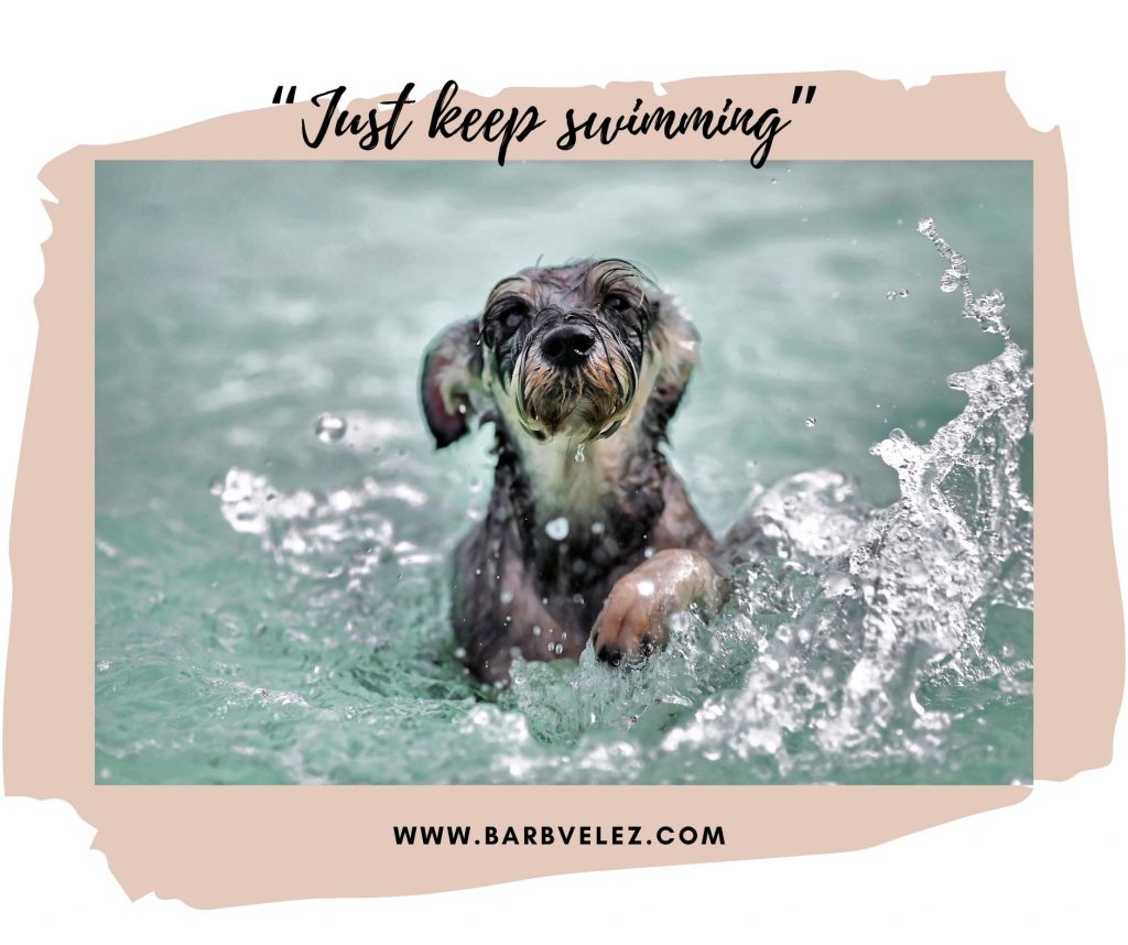 Just keep swimming